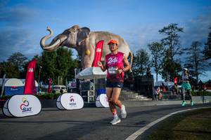 BIB: 
                            <button type="button" onclick="openModal(26541823)" class="btn btn-primary btn-sm float-right btn-popup" data-toggle="modal" data-target=".modal-high-quality">
                        <i class="fas fa-shopping-cart"></i> Add to Cart
                    </button>
                                            <button type="button" onclick="isThisMe(26541823, true)" class="btn btn-success btn-sm float-right btn-popup btn-isme hidden" data-toggle="tooltip" data-placement="bottom" title="นี่คือรูปของคุณใช่ไหม คลิกที่นี่เพื่อเอาเข้าอัลบั้ม">
                        <i class="fas fa-plus"></i> Add to album
                    </button>
                    <button type="button" onclick="isThisMe(26541823, false)" class="btn btn-warning btn-sm float-right btn-popup btn-isnotme hidden">
                        <i class="fas fa-ban"></i> Remove from album
                    </button>